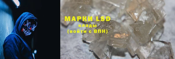 гидра Аркадак