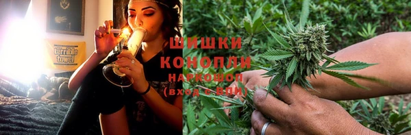 гидра Аркадак